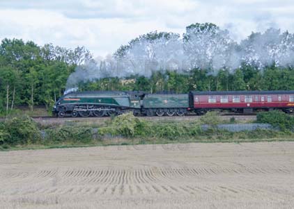 Purchase photo of 60009 UNION OF SOUTH AFRICA at Worting Junction